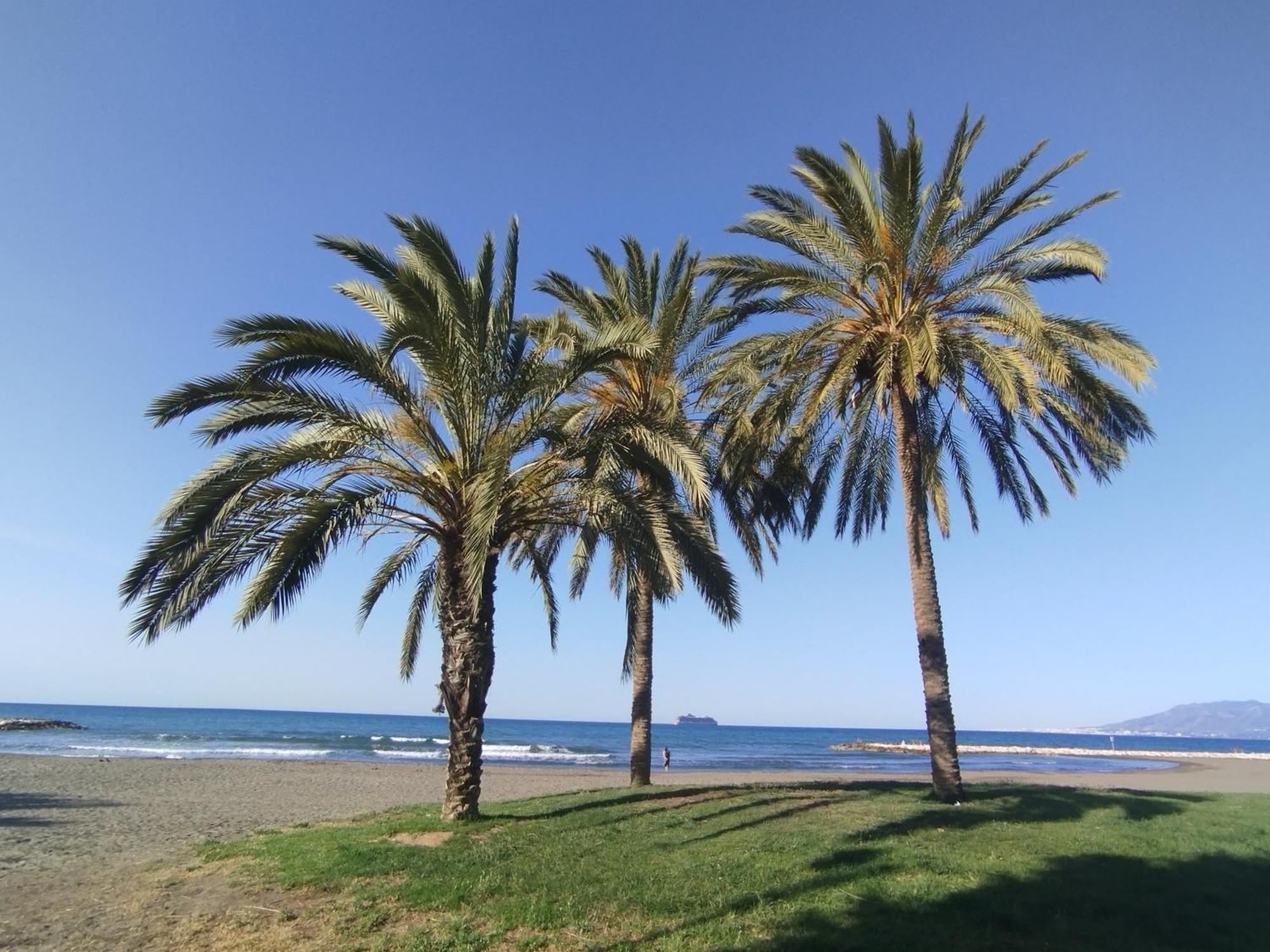Alhóndiga El Palo Apartamento Málaga